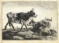 Cahier de six feuilles de Boeufs et Vaches. Da Jean Pillement.