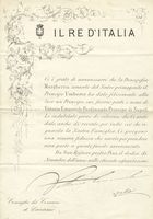 Documento a stampa nel quale si annuncia la nascita di Vittorio Emanuele Ferdinando Principe di Napoli. Con firma autografa di Vittorio Emanuele II.