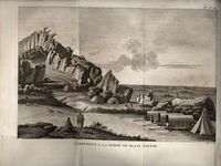 Second voyage dans l'interieur de l'Afrique par le cap de Bonne-Esperance dans le annees 1783, 1784 et 1785, par F. Le Vaillant ...Tome premiere [-troisieme].