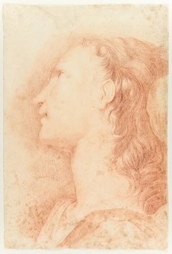  Francesco Solimena  (Serino, 1657 - Napoli, 1747) [attribuito a] : Testa di angelo.  - Asta Stampe e Disegni - Libreria Antiquaria Gonnelli - Casa d'Aste - Gonnelli Casa d'Aste