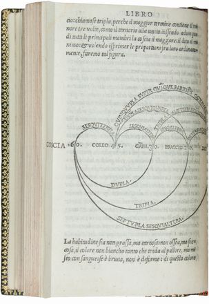  Equicola Mario : Libro di natura d'amore [...] novamente stampato...  - Asta Manoscritti, Libri, Autografi, Stampe & Disegni - Libreria Antiquaria Gonnelli - Casa d'Aste - Gonnelli Casa d'Aste