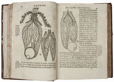  Descartes Ren : L'Homme [...] et un Traitté de la Formation du Foetus [...] avec les Remarques de Louis de la Forge...  Claude Clerselier  (1614 - 1684), Louis (de) La Forge  (1632 - 1666)  - Asta Manoscritti, Libri, Autografi, Stampe & Disegni - Libreria Antiquaria Gonnelli - Casa d'Aste - Gonnelli Casa d'Aste