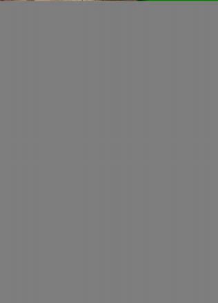 Formularium diversorum contractuum noviter impressum. Letteratura classica, Letteratura  Pierio Valeriano  - Auction Manuscripts, Books, Autographs, Prints & Drawings - Libreria Antiquaria Gonnelli - Casa d'Aste - Gonnelli Casa d'Aste