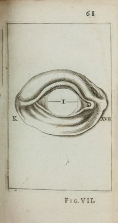  Verle Giovanni Battista : Anatomia artificialis oculi humani...  Thomas Bartholin  (1616 - 1680)  - Asta Manoscritti, Libri, Autografi, Stampe & Disegni - Libreria Antiquaria Gonnelli - Casa d'Aste - Gonnelli Casa d'Aste