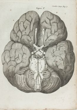  Willis Thomas : Opera Omnia [...] studio & opera Gerardi Blasii...  Gerard Blaes  ( - 1692)  - Asta Manoscritti, Libri, Autografi, Stampe & Disegni - Libreria Antiquaria Gonnelli - Casa d'Aste - Gonnelli Casa d'Aste