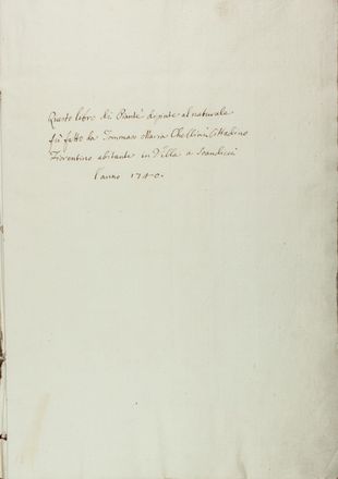  Chellini Tommaso Maria : Questo libro di piante dipinte al naturale fù fatto da Tommaso Maria Chellini cittadino fiorentino abitante in Villa a Scandicci.  - Asta Manoscritti, Libri, Autografi, Stampe & Disegni - Libreria Antiquaria Gonnelli - Casa d'Aste - Gonnelli Casa d'Aste