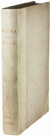 Flora and sylva. Vol. I.  - Asta Manoscritti, Libri, Autografi, Stampe & Disegni - Libreria Antiquaria Gonnelli - Casa d'Aste - Gonnelli Casa d'Aste