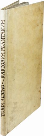  Aldini Tobia : Exactissima descriptio rariorum quarundam plantarum, quae continentur Romae in Horto Farnesiano.  Pietro Castelli, Jacopo Ligozzi  (1547 - 1626), Giuseppe Caletti (detto il Cremonese)  (attivo a Cremona e Ferrara, 1600)  - Asta Manoscritti, Libri, Autografi, Stampe & Disegni - Libreria Antiquaria Gonnelli - Casa d'Aste - Gonnelli Casa d'Aste