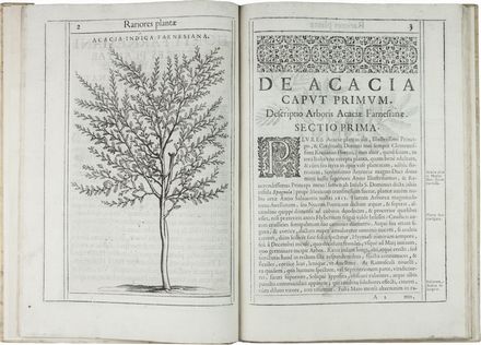  Aldini Tobia : Exactissima descriptio rariorum quarundam plantarum, quae continentur Romae in Horto Farnesiano.  Pietro Castelli, Jacopo Ligozzi  (1547 - 1626), Giuseppe Caletti (detto il Cremonese)  (attivo a Cremona e Ferrara, 1600)  - Asta Manoscritti, Libri, Autografi, Stampe & Disegni - Libreria Antiquaria Gonnelli - Casa d'Aste - Gonnelli Casa d'Aste