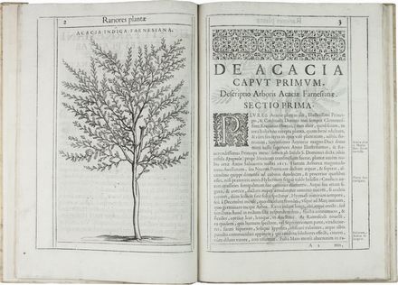  Aldini Tobia : Exactissima descriptio rariorum quarundam plantarum, quae continentur Romae in Horto Farnesiano.  Pietro Castelli, Jacopo Ligozzi  (1547 - 1626), Giuseppe Caletti (detto il Cremonese)  (attivo a Cremona e Ferrara, 1600)  - Asta Manoscritti, Libri, Autografi, Stampe & Disegni - Libreria Antiquaria Gonnelli - Casa d'Aste - Gonnelli Casa d'Aste