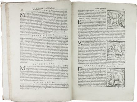 Valeriano Pierio : Ieroglifici, overo Commentari delle occulte significationi de gli Egittij, & d'altre Nationi [...] Accresciuti di due Libri del Sig. Celio Augustino Curione... Egittologia, Figurato, Occultismo, Storia, Diritto e Politica, Collezionismo e Bibiografia  Celio Secondo Curione  - Auction Manuscripts, Books, Autographs, Prints & Drawings - Libreria Antiquaria Gonnelli - Casa d'Aste - Gonnelli Casa d'Aste