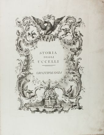  Manetti Saverio : Storia naturale degli uccelli trattata con metodo [...]. Tomo primo.  Violante Lampredi Vanni  ( - 1776), Lorenzo Lorenzi  - Asta Manoscritti, Libri, Autografi, Stampe & Disegni - Libreria Antiquaria Gonnelli - Casa d'Aste - Gonnelli Casa d'Aste