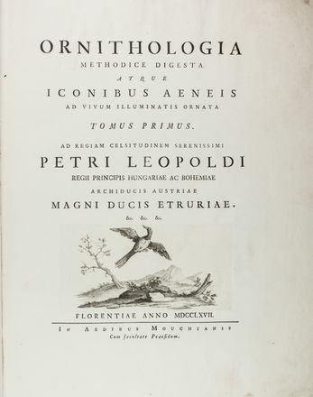  Manetti Saverio : Storia naturale degli uccelli trattata con metodo [...]. Tomo primo.  Violante Lampredi Vanni  ( - 1776), Lorenzo Lorenzi  - Asta Manoscritti, Libri, Autografi, Stampe & Disegni - Libreria Antiquaria Gonnelli - Casa d'Aste - Gonnelli Casa d'Aste