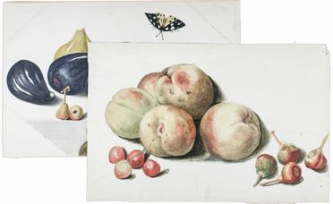  Ferdinando Morozzi  (Siena, 1723 - 1785) : Lotto composto di 10 disegni su carte sciolte. Piante, frutta e uccelli.  - Asta Manoscritti, Libri, Autografi, Stampe & Disegni - Libreria Antiquaria Gonnelli - Casa d'Aste - Gonnelli Casa d'Aste