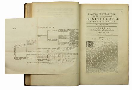  Willughby Francis : Ornithologiae Libri Tres...  Frederick Hendrik (van) Hove  ( - 1698), William Faithorne, William Sherwin  - Asta Libri, Grafica - Libreria Antiquaria Gonnelli - Casa d'Aste - Gonnelli Casa d'Aste