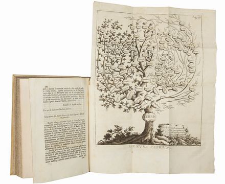  Benescia Giovanni : L'efficacia della china china esposta alla pubblica considerazione per vantaggio universale...  - Asta Libri, Grafica - Libreria Antiquaria Gonnelli - Casa d'Aste - Gonnelli Casa d'Aste