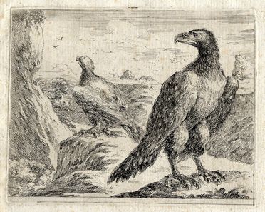  Stefano Della Bella  (Firenze, 1610 - 1664) : Aquila di tre quarti volta a destra.  - Asta Libri, Grafica - Libreria Antiquaria Gonnelli - Casa d'Aste - Gonnelli Casa d'Aste