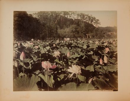  Kimbei Kusakabe  (1841 - 1934) : Album di foto del Giappone dell'Era Meiji.  - Asta Libri, Grafica - Libreria Antiquaria Gonnelli - Casa d'Aste - Gonnelli Casa d'Aste