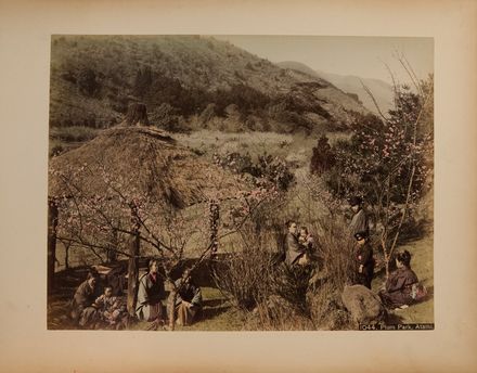  Kimbei Kusakabe  (1841 - 1934) : Album di foto del Giappone dell'Era Meiji.  - Auction Books, Prints and Drawings - Libreria Antiquaria Gonnelli - Casa d'Aste - Gonnelli Casa d'Aste