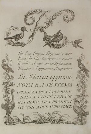  Giarr� Gaetano : Alfabeto di lettere iniziali adorno di animali e proseguito da vaga serie di caratteri... Calligrafia, Arte  - Auction BOOKS, MANUSCRIPTS AND AUTOGRAPHS - Libreria Antiquaria Gonnelli - Casa d'Aste - Gonnelli Casa d'Aste