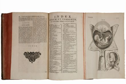  Acquapendente Fabrizi Girolamo (da) : Opera omnia anatomica et physiologica.  Bernhard Siegfried Albinus  (1697 - 1770)  - Asta Libri, manoscritti e autografi - Libreria Antiquaria Gonnelli - Casa d'Aste - Gonnelli Casa d'Aste