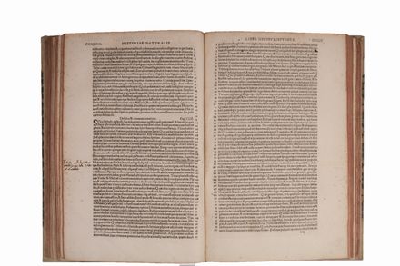  Plinius Secundus Gaius : Opus divinum, cui titulus Historia Naturalis... Scienze naturali, Letteratura classica, Classici, Letteratura, Letteratura  Ermolao Barbaro  - Auction BOOKS, MANUSCRIPTS AND AUTOGRAPHS - Libreria Antiquaria Gonnelli - Casa d'Aste - Gonnelli Casa d'Aste