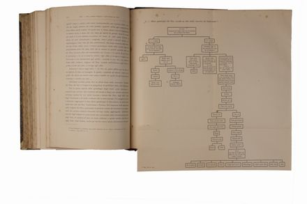  Modigliani Elio : Un viaggio a N�as.  - Asta Libri, manoscritti e autografi - Libreria Antiquaria Gonnelli - Casa d'Aste - Gonnelli Casa d'Aste