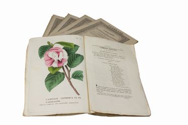  Piccioli Antonio : L'antotrofia ossia la Coltivazione de' fiori.  - Asta Libri, manoscritti e autografi - Libreria Antiquaria Gonnelli - Casa d'Aste - Gonnelli Casa d'Aste