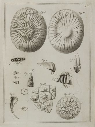  Fontana Felice : Trait� sur le v�nin de la vipere, sur les poisons americains, sur le laurier-cerise et sur quelques autres poisons vegetaux [...] Tome premier (-second).  - Asta Libri, manoscritti e autografi - Libreria Antiquaria Gonnelli - Casa d'Aste - Gonnelli Casa d'Aste