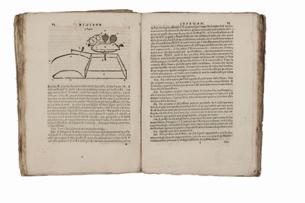  Rossetti Donato : Antignome fisico-matematiche con il nuovo orbe, e sistema terrestre... Fisica, Astronomia, Galileiana, Scienze tecniche e matematiche, Scienze tecniche e matematiche, Scienze tecniche e matematiche  - Auction BOOKS, MANUSCRIPTS AND AUTOGRAPHS - Libreria Antiquaria Gonnelli - Casa d'Aste - Gonnelli Casa d'Aste