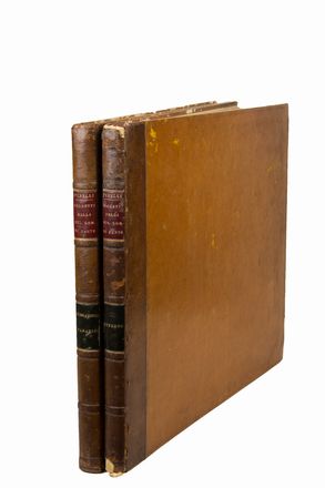  Pinelli Bartolomeo : Invenzioni sullo stesso poema di Dante Alighieri [La Divina Commedia]. Letteratura italiana, Figurato, Letteratura, Collezionismo e Bibiografia  Dante Alighieri  - Auction BOOKS, MANUSCRIPTS AND AUTOGRAPHS - Libreria Antiquaria Gonnelli - Casa d'Aste - Gonnelli Casa d'Aste
