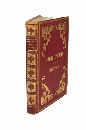  Salvadori Tommaso : Fauna d'Italia parte seconda; gli uccelli. Legatura, Uccelli, Scienze naturali, Collezionismo e Bibiografia, Scienze naturali  - Auction BOOKS, MANUSCRIPTS AND AUTOGRAPHS - Libreria Antiquaria Gonnelli - Casa d'Aste - Gonnelli Casa d'Aste