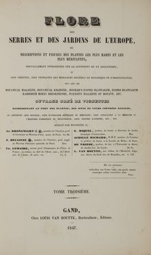  Lemaire Charles Antoine [e altri] : Flore des serres et des jardins de L'Europe...tome troisieme. Figurato, Botanica, Scienze naturali, Collezionismo e Bibiografia, Scienze naturali  - Auction BOOKS, MANUSCRIPTS AND AUTOGRAPHS - Libreria Antiquaria Gonnelli - Casa d'Aste - Gonnelli Casa d'Aste