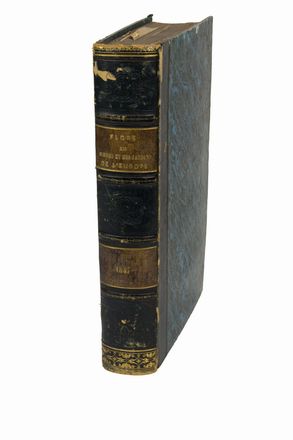  Lemaire Charles Antoine [e altri] : Flore des serres et des jardins de L'Europe...tome troisieme. Figurato, Botanica, Scienze naturali, Collezionismo e Bibiografia, Scienze naturali  - Auction BOOKS, MANUSCRIPTS AND AUTOGRAPHS - Libreria Antiquaria Gonnelli - Casa d'Aste - Gonnelli Casa d'Aste