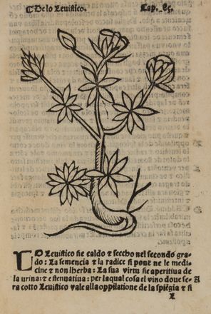  Arnaldo de Vilanova : Herbolario volgare, nel quale se dimostra a conoscer le herbe... Botanica, Figurato, Scienze naturali, Collezionismo e Bibiografia  - Auction BOOKS, MANUSCRIPTS AND AUTOGRAPHS - Libreria Antiquaria Gonnelli - Casa d'Aste - Gonnelli Casa d'Aste