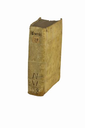  Macrobius Ambrosius Aurelius Theodosius : In somnium Scipionis libri II. Saturnaliorum libri VII... Filosofia, Storia, Classici, Storia, Diritto e Politica, Letteratura  - Auction BOOKS, MANUSCRIPTS AND AUTOGRAPHS - Libreria Antiquaria Gonnelli - Casa d'Aste - Gonnelli Casa d'Aste