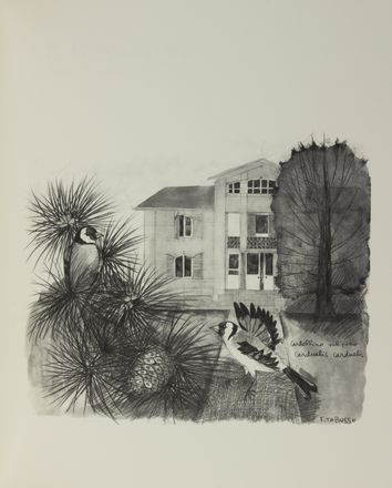  Santini Pier Carlo : Dodici uccelli silvani... Libro d'Artista, Figurato, Collezionismo e Bibiografia, Collezionismo e Bibiografia  Francesco Tabusso  - Auction BOOKS, MANUSCRIPTS AND AUTOGRAPHS - Libreria Antiquaria Gonnelli - Casa d'Aste - Gonnelli Casa d'Aste