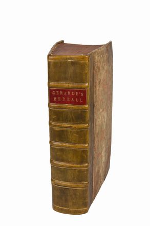  Gerard John : The herball or generall historie of plantes [...] very much enlarged and amended by Thomas Johnson... Botanica, Figurato, Scienze naturali, Collezionismo e Bibiografia  - Auction BOOKS, MANUSCRIPTS AND AUTOGRAPHS - Libreria Antiquaria Gonnelli - Casa d'Aste - Gonnelli Casa d'Aste