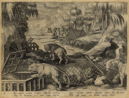  Jan II Collaert  (1566 - 1628) : Caccia al leone. Caccia al leopardo.  - Asta Stampe e Disegni XVI-XX secolo, Dipinti dell'800 e del '900. - Libreria Antiquaria Gonnelli - Casa d'Aste - Gonnelli Casa d'Aste