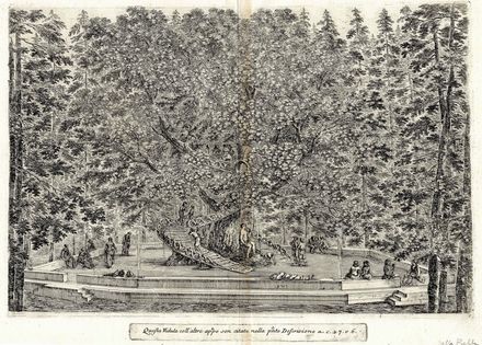  Stefano Della Bella  (Firenze, 1610 - 1664) : Vedute della Villa di Pratolino.  - Asta Stampe e Disegni XVI-XX secolo, Dipinti dell'800 e del '900. - Libreria Antiquaria Gonnelli - Casa d'Aste - Gonnelli Casa d'Aste