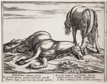  Antonio Tempesta  (Firenze, 1555 - Roma, 1630) [da] : Cavalli di diversi paesi.  - Auction Prints, Drawings and Paintings from 16th until 20th centuries - Libreria Antiquaria Gonnelli - Casa d'Aste - Gonnelli Casa d'Aste
