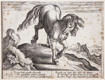  Antonio Tempesta  (Firenze, 1555 - Roma, 1630) [da] : Cavalli di diversi paesi.  - Auction Prints, Drawings and Paintings from 16th until 20th centuries - Libreria Antiquaria Gonnelli - Casa d'Aste - Gonnelli Casa d'Aste