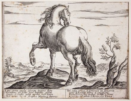  Antonio Tempesta  (Firenze, 1555 - Roma, 1630) [da] : Cavalli di diversi paesi.  - Auction Prints, Drawings and Paintings from 16th until 20th centuries - Libreria Antiquaria Gonnelli - Casa d'Aste - Gonnelli Casa d'Aste