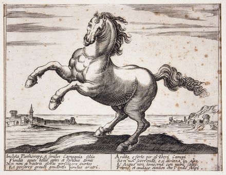  Antonio Tempesta  (Firenze, 1555 - Roma, 1630) [da] : Cavalli di diversi paesi.  - Auction Prints, Drawings and Paintings from 16th until 20th centuries - Libreria Antiquaria Gonnelli - Casa d'Aste - Gonnelli Casa d'Aste