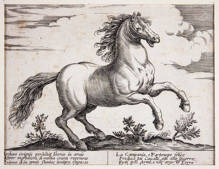  Antonio Tempesta  (Firenze, 1555 - Roma, 1630) [da] : Cavalli di diversi paesi.  - Auction Prints, Drawings and Paintings from 16th until 20th centuries - Libreria Antiquaria Gonnelli - Casa d'Aste - Gonnelli Casa d'Aste