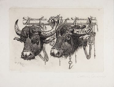  Charles Coleman  (Pontrefact,  - Roma, 1874) : Buoi della campagna romana. Buoi al giogo.  - Asta Stampe, Disegni e Dipinti dal XVI al XX secolo - Libreria Antiquaria Gonnelli - Casa d'Aste - Gonnelli Casa d'Aste