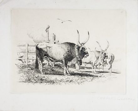  Charles Coleman  (Pontrefact,  - Roma, 1874) : Buoi della campagna romana. Buoi al giogo.  - Asta Stampe, Disegni e Dipinti dal XVI al XX secolo - Libreria Antiquaria Gonnelli - Casa d'Aste - Gonnelli Casa d'Aste