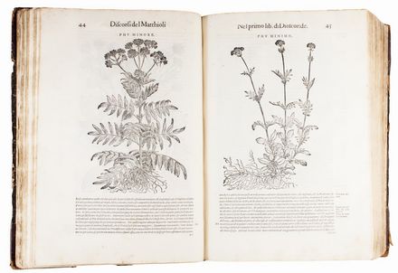  Mattioli Pietro Andrea, Dioscorides Pedanius : I Discorsi [...] nelli sei libri di Pedacio Dioscoride Anazarbeo della materia Medicinale [...] Con le figure grandi tutte di nuovo rifatte, & tirate dalle naturali & vive piante & animali... Botanica, Scienze naturali, Figurato, Scienze naturali, Collezionismo e Bibliografia  - Auction Books, Manuscripts & Autographs - Libreria Antiquaria Gonnelli - Casa d'Aste - Gonnelli Casa d'Aste