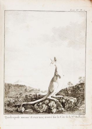  Cook James : Cartes et figures des voyages [?] pour faire des découvertes dans l?Hémisphère Méridional et successivement exécutés par le Commodore Byron, le Capitaine Carteret, le Capitaine Wallis & le Capitaine Cook...  - Asta Libri, Manoscritti e Autografi - Libreria Antiquaria Gonnelli - Casa d'Aste - Gonnelli Casa d'Aste
