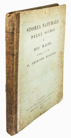  Jacob Nicolas Henri, Hugues Pietro : Storia naturale delle scimie e dei maki...  Luigi Rados  (Parma, 1773 - Milano, 1840)  - Asta Libri, Manoscritti e Autografi - Libreria Antiquaria Gonnelli - Casa d'Aste - Gonnelli Casa d'Aste